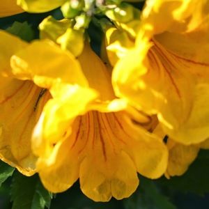 Meet your Posher, Michele